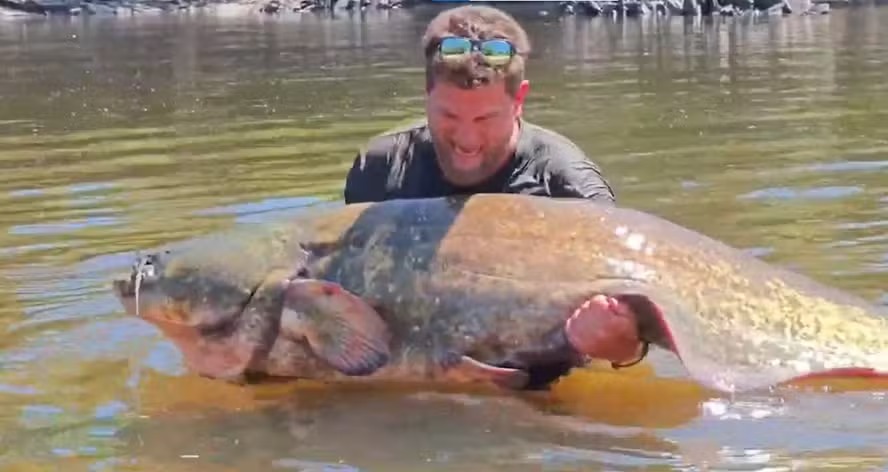 Homem pescou Siluro de 102 KG em Portugal