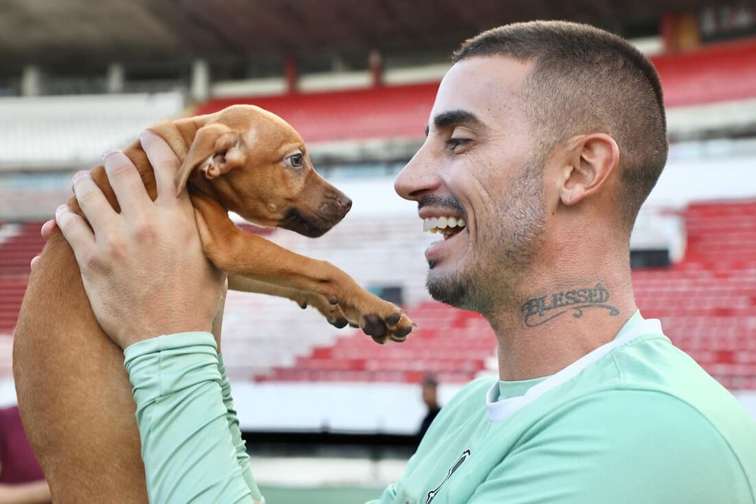 Santa Cruz promove a ação "Adota Pet no Arruda", neste domingo (01)