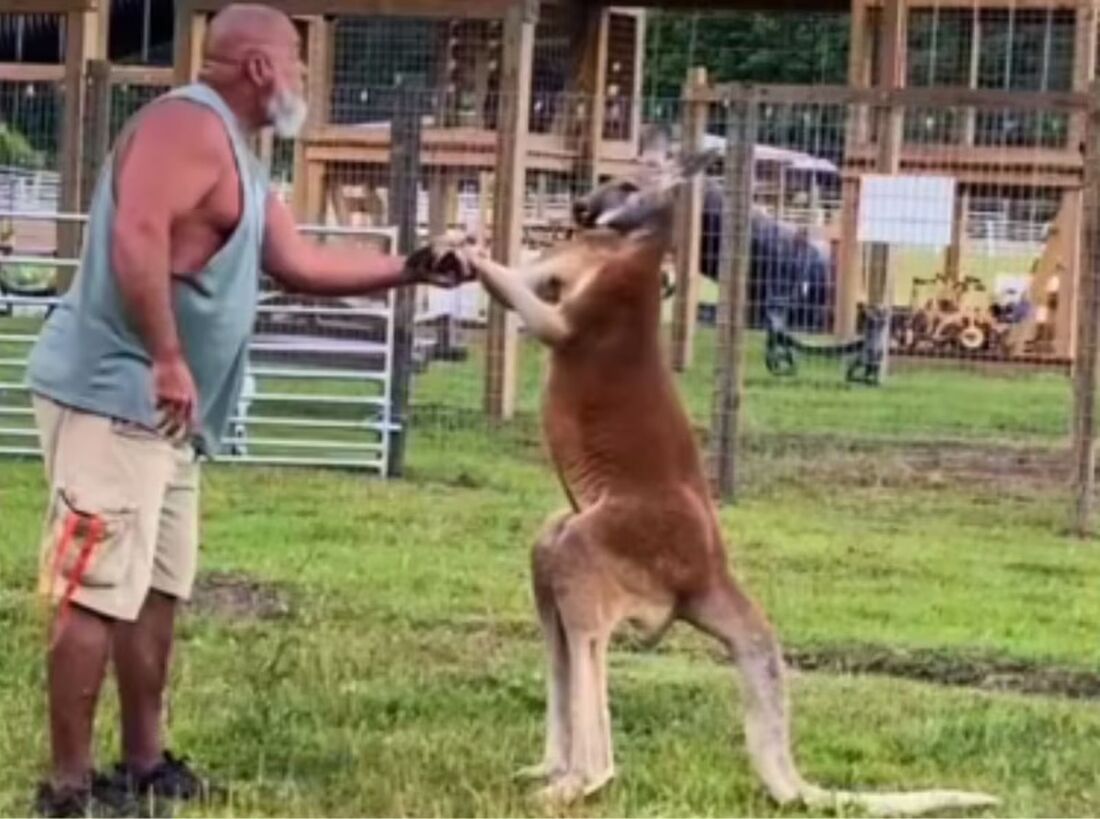 Eric Slate costumava "brincar de lutinha" com os cangurus