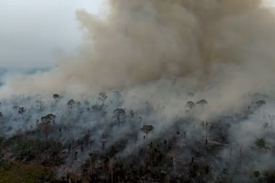 Vista aérea de um incêndio ilegal na floresta amazônica às margens da BR-230, no Amazonas 