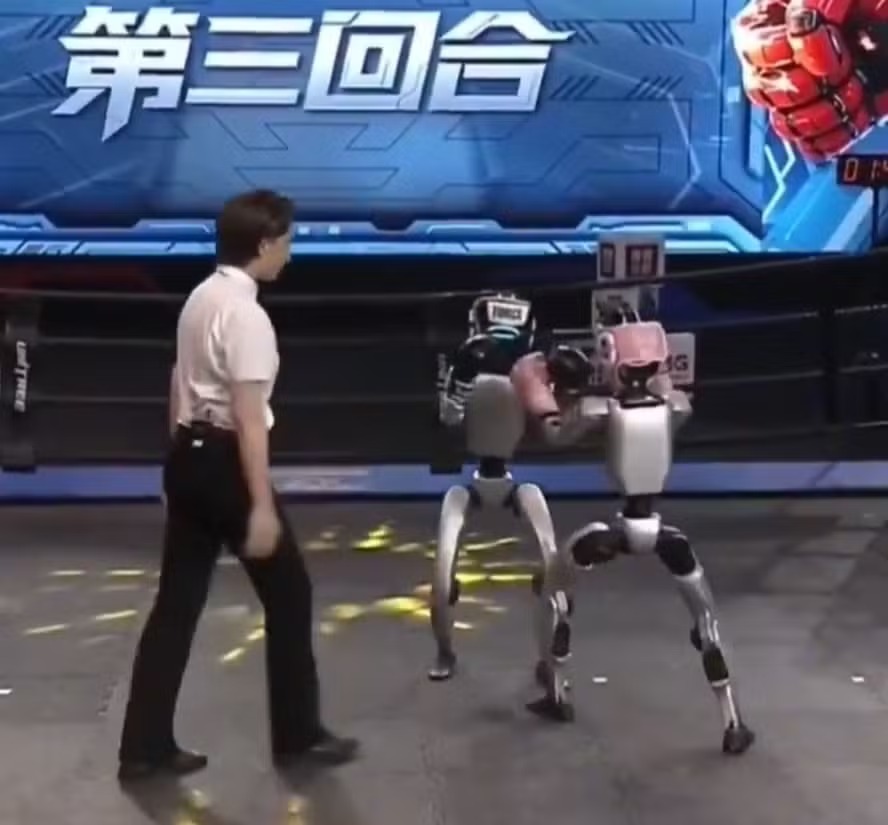 Robôs humanoides protagonizam competição de kickboxing