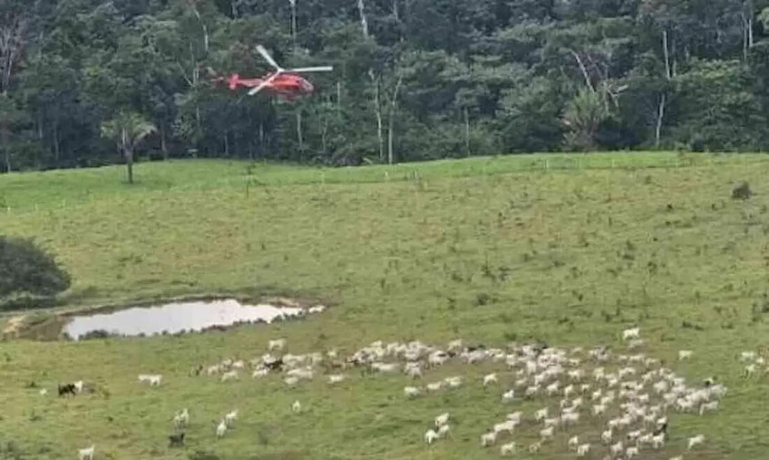 Agentes do ICMBio sofrem atentados em reserva no Acre