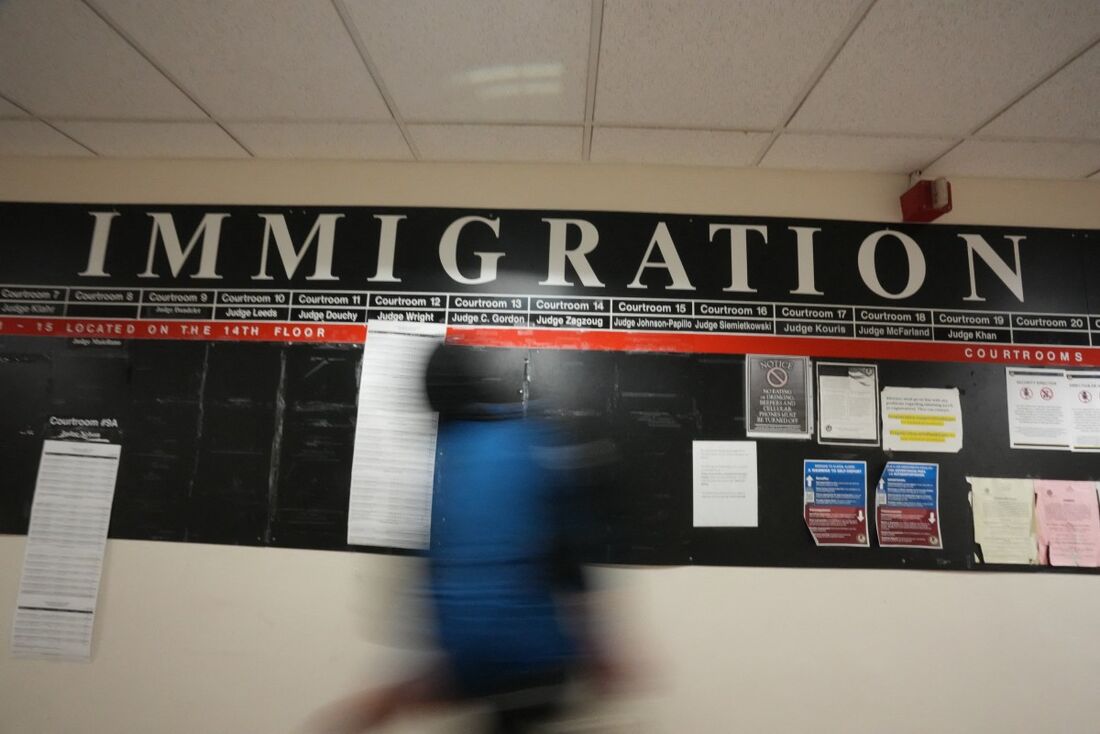 Imigração nos Estados Unidos