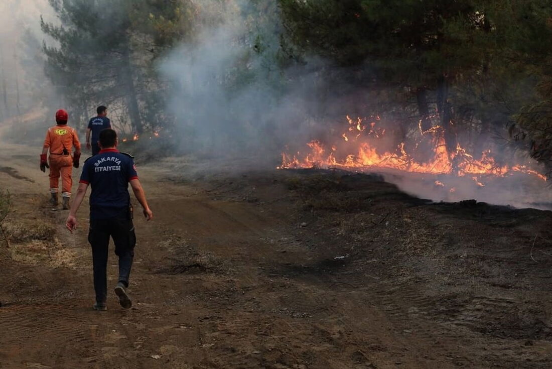 Incêndio florestal em Sakarya, Turquia
