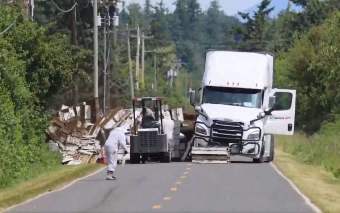 Caminhão tomba e liberta milhões de abelhas nos Estados Unidos