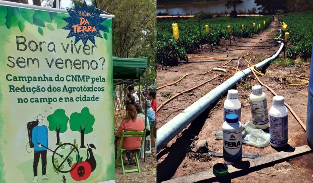 Exposição fotográfica sobre os impactos do uso dos agrotóxicos no Museu do Homem do Nordeste