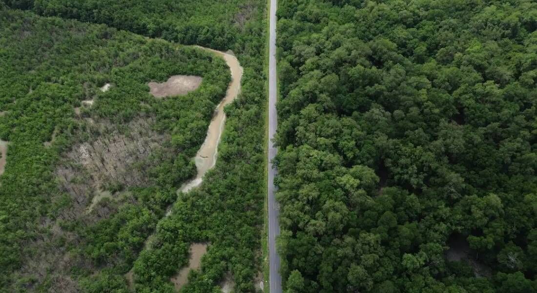 Vista de um braço do Rio Caeté em área de manguezal na Reserva Extrativista Marinha de Caeté-Taperaçu monitorada pelo projeto Mangues da Amazônia.