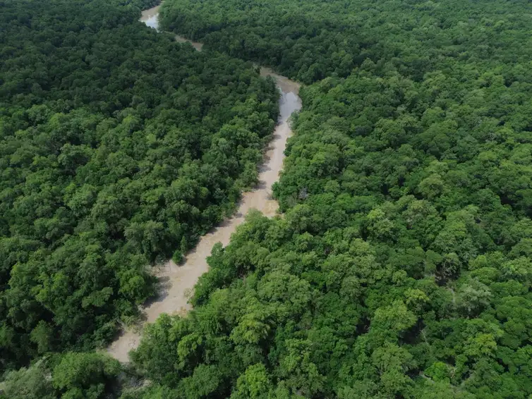 Vista de um braço do Rio Caeté em área de manguezal na Reserva Extrativista Marinha de Caeté-Taperaçu monitorada pelo projeto Mangues da Amazônia.
