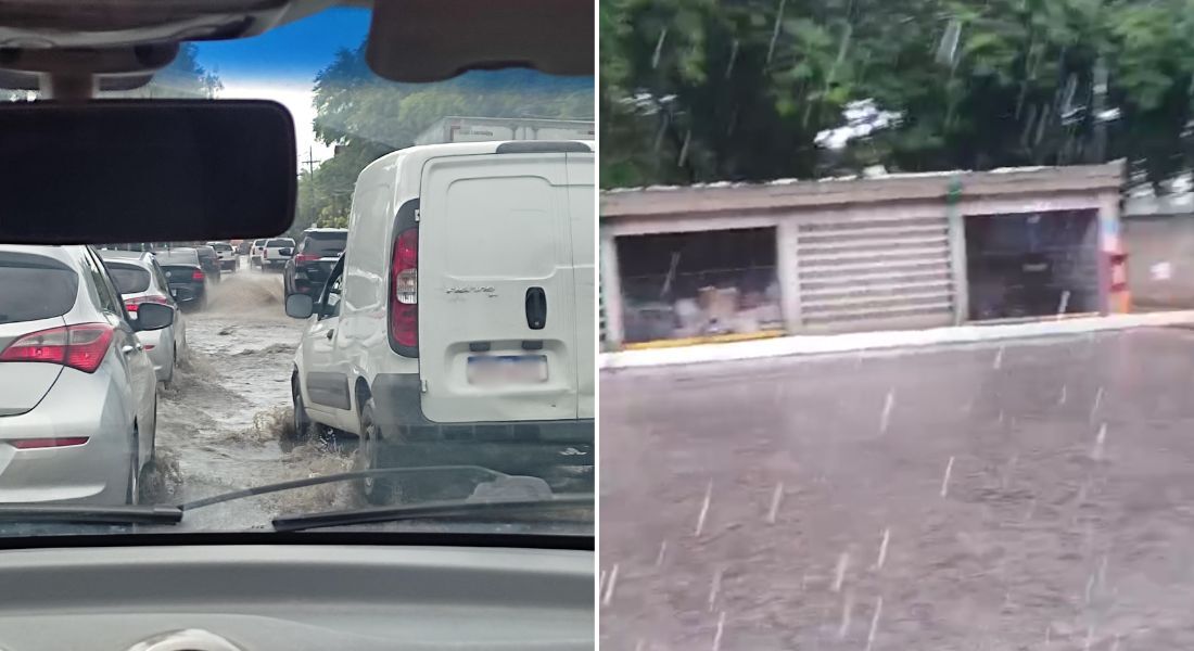 Intensas precipitações já eram previstas pela Agência Pernambucana de Águas e Clima (Apac)