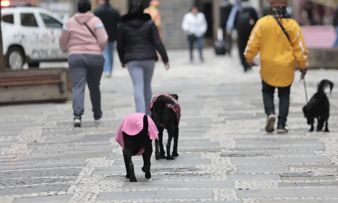 Após dois anos de calor intenso, Brasil volta ter inverno e frio segue até meados de agosto