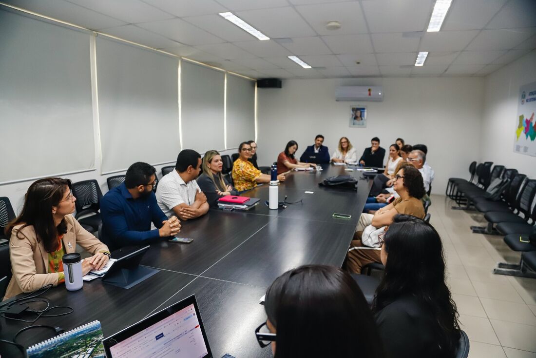 Reunião validou fluxo de atendimento às meningites em Pernambuco