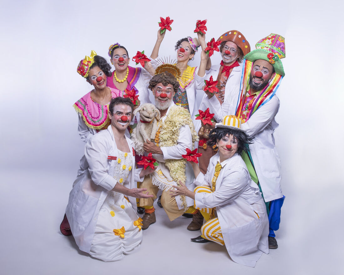 São João dos Doutores da Alegria