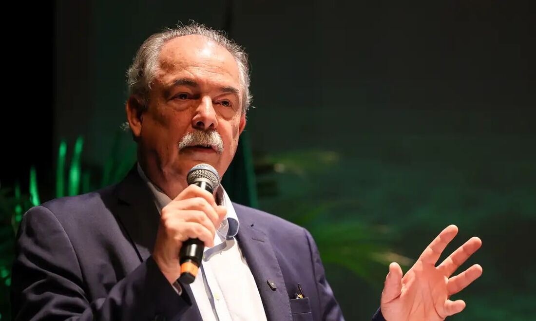O presidente do Banco Nacional de Desenvolvimento Econômico e Social (BNDES), Aloizio Mercadante