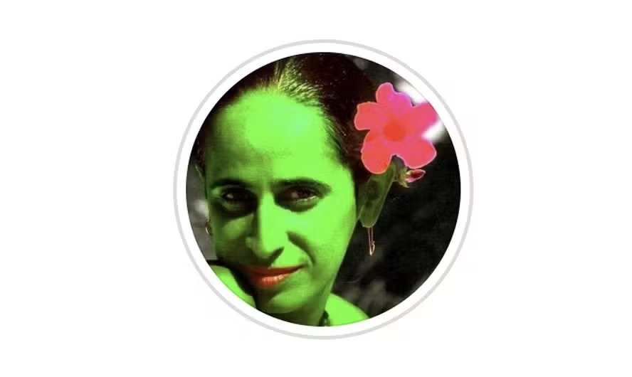 Perfil de humor no Instagram 'Bangalô de Gente Nobre' faz sátiras do universo da MPB 