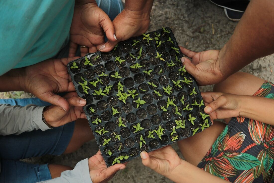 edital meio ambiente