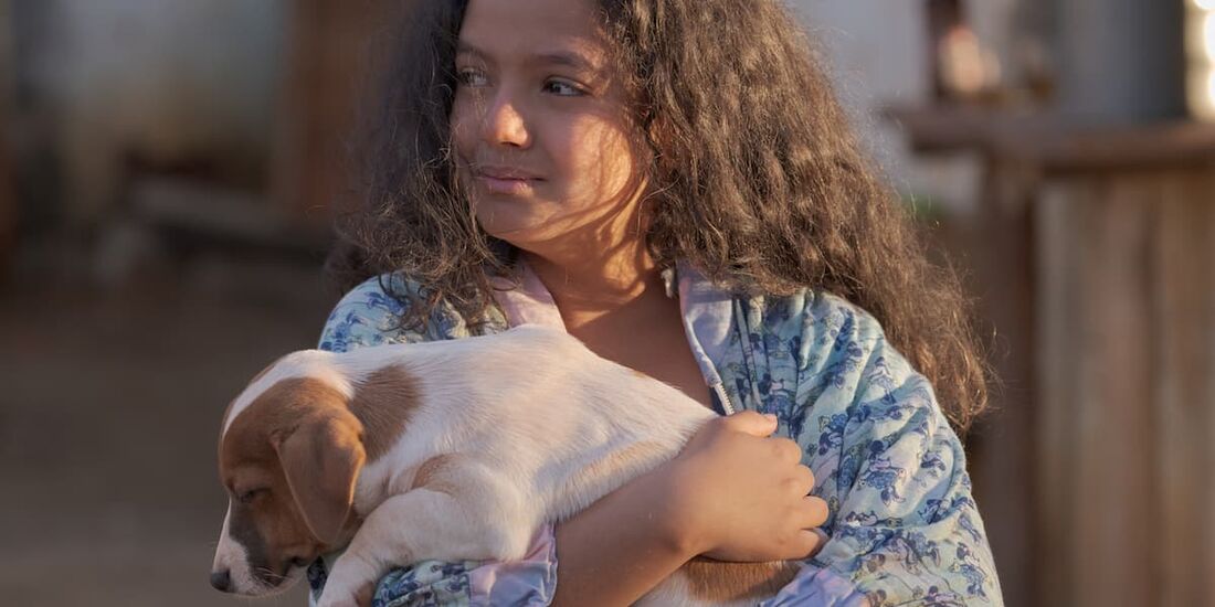 "O Silêncio das Ostras"