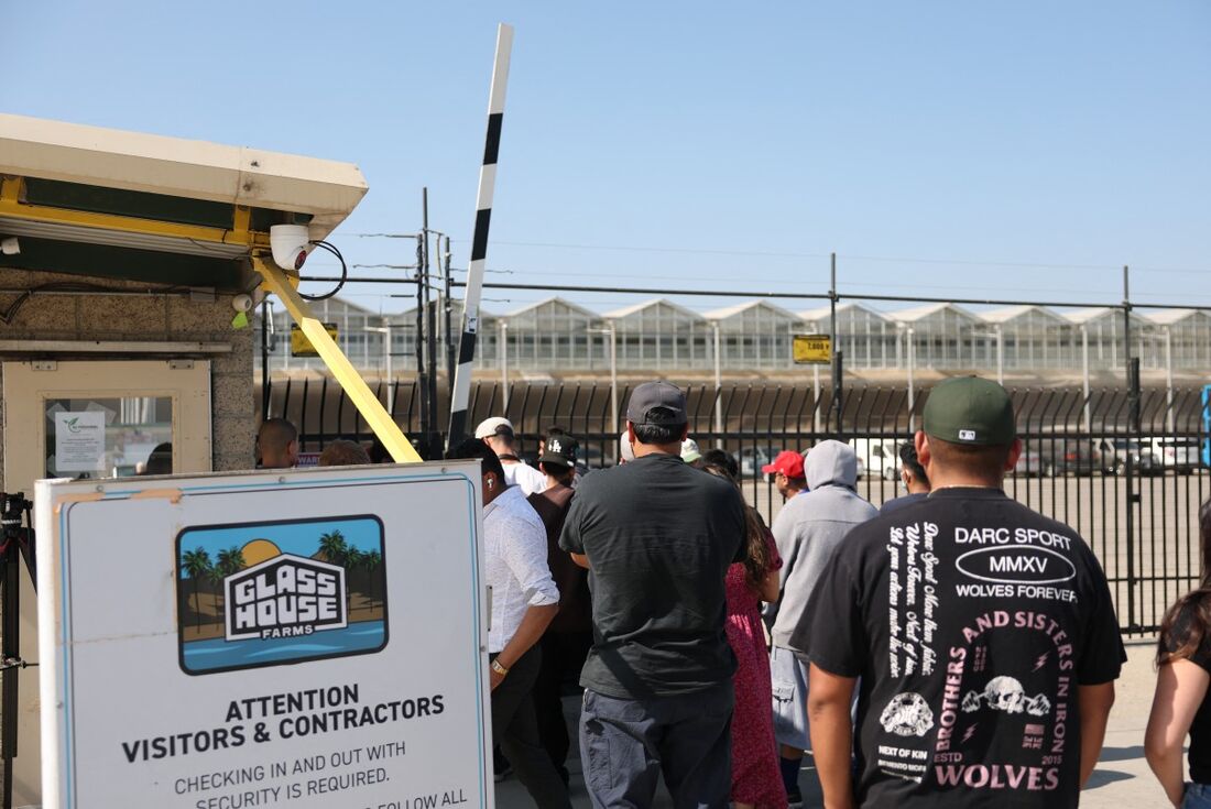 Amigos e familiares dos detidos na operação de imigração de ontem fazem fila na Glass House Farms em Camarillo, Califórnia, em 11 de julho de 2025, para recuperar veículos deixados para trás