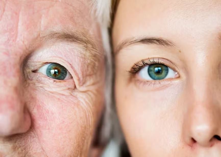 Os primeiros testes em humanos serão em pessoas com doenças oculares