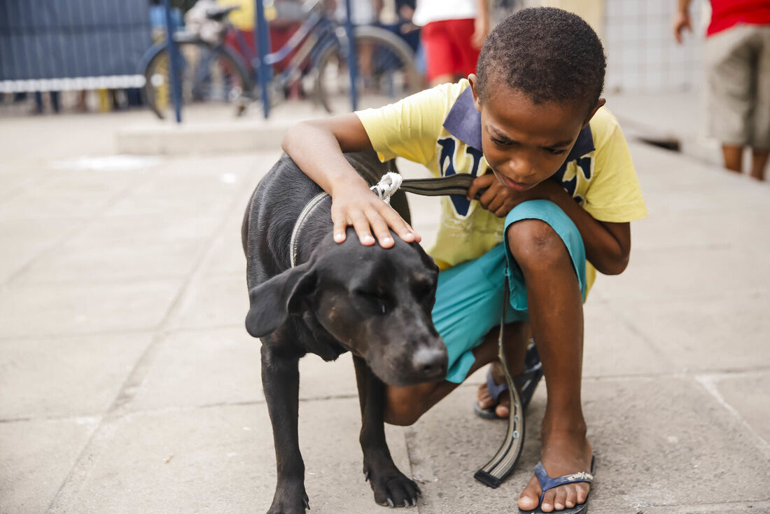 Olinda promove evento de adoção de pets a partir desta quarta-feira (13)