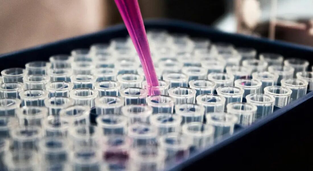 O Brasil respondeu por menos de 100 mil dos mais de 2 milhões de artigos publicados por cientistas do grupo