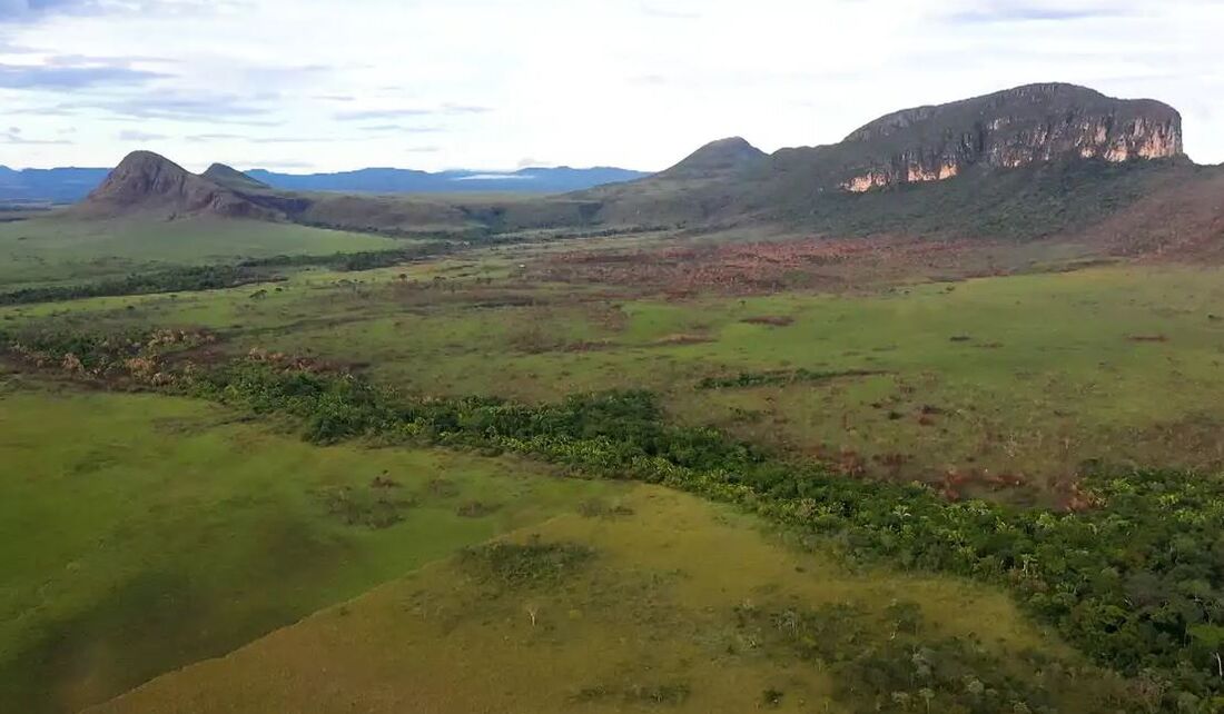 Fundo Amazônia é gerido pelo BNDES