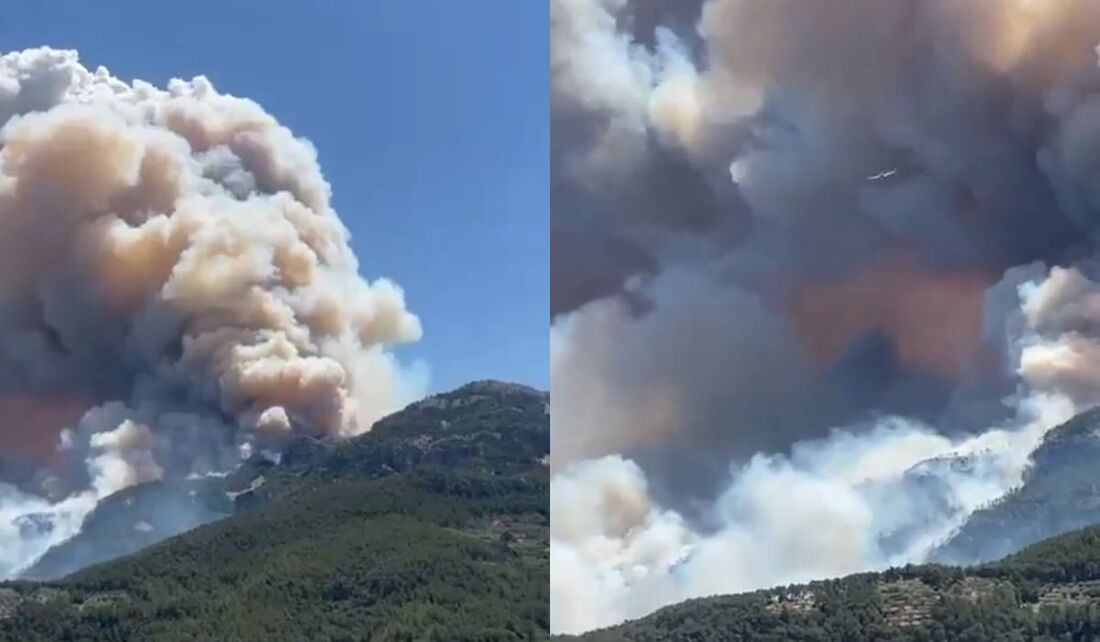 Incêndio florestal na Espanha