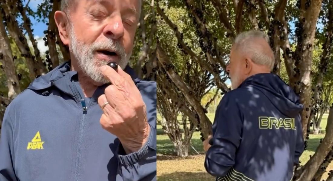 Lula em vídeo postado por Janja neste domingo (13)