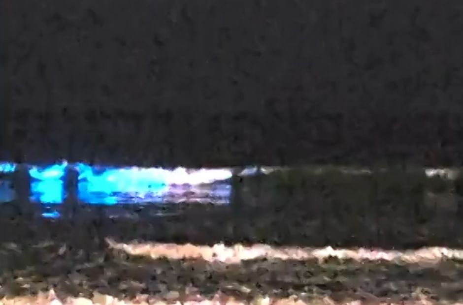 Ondas brilham em azul neon em fenômeno registrado em praia de SC