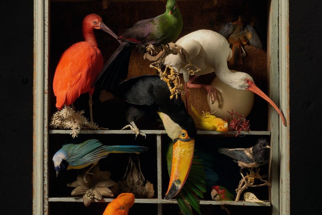 Exposição do Art Zoo