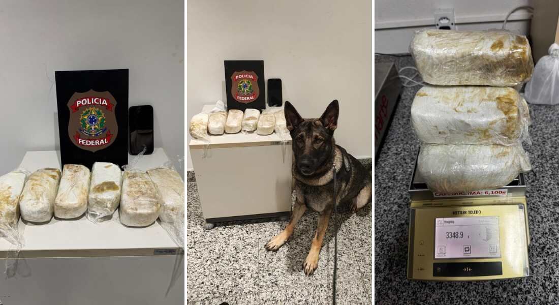 Alaska ajudou PFs a encontrar e apreender a droga