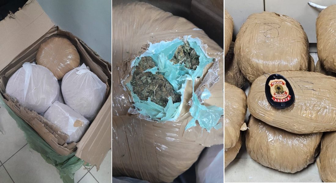 Maconha apreendida pelos policiais federais: droga estava em caixa de papelão