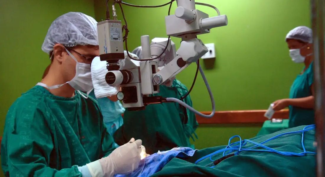 Exames são importantes para diagnóstico do câncer de intestino