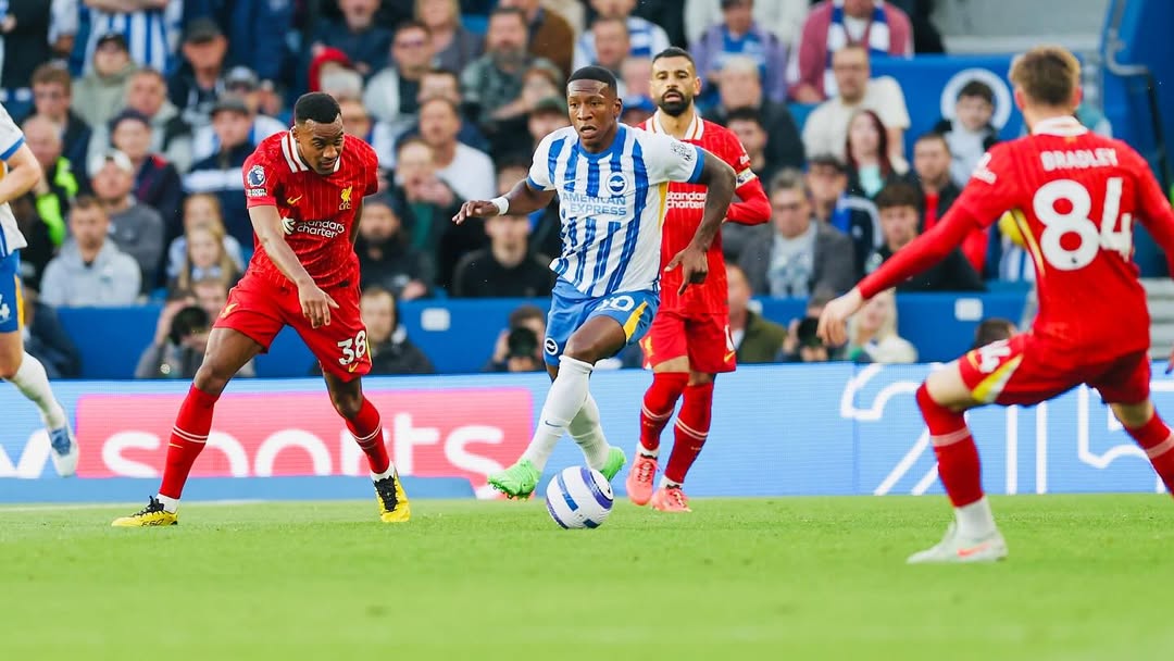 Lateral estava no Brighton e assina contrato até 2030