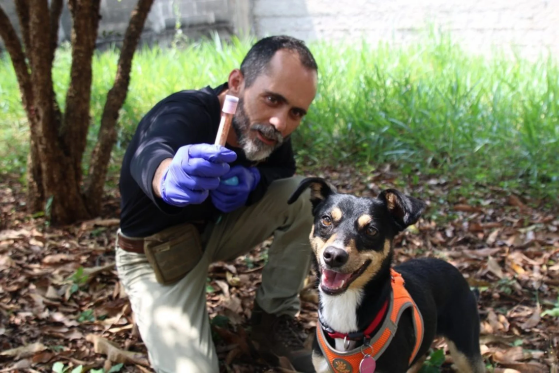 O animal, chamado de Savana, foi encontrado pelo perito criminal e médico veterinário João Henrique Machado