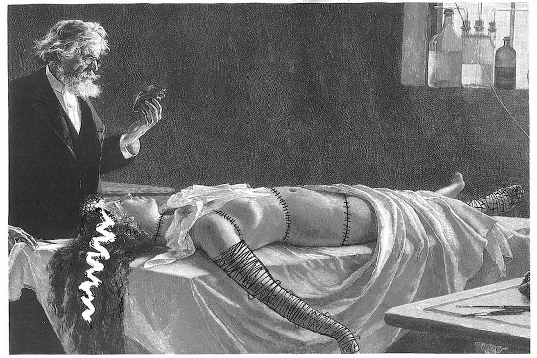 Imagem do livro "Quincas Borba e o Nosferatu"