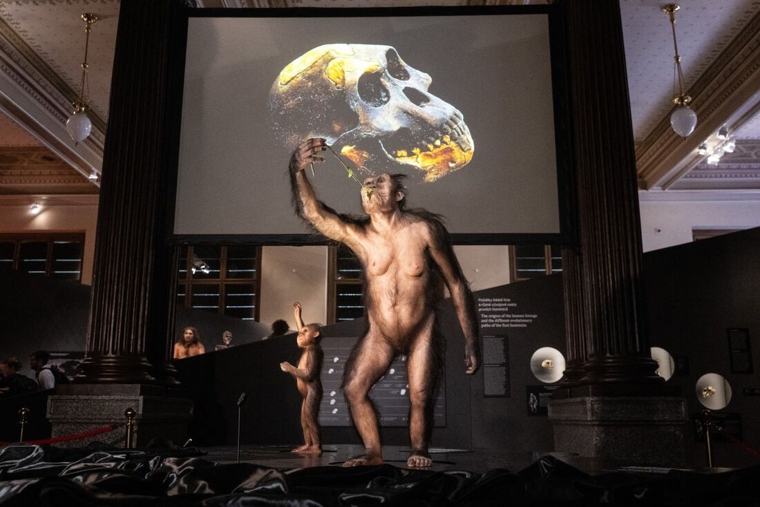 O modelo de reconstrução artística hiper-realistas das ancestrais humanas Australopithecus afarensis Lucy e Salam