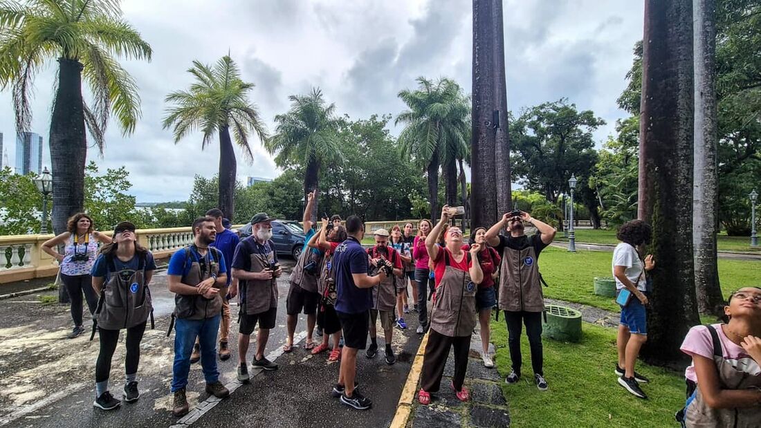 Última ediçaõ do Vem Passarinhar Recife aconteceu na Praça da República