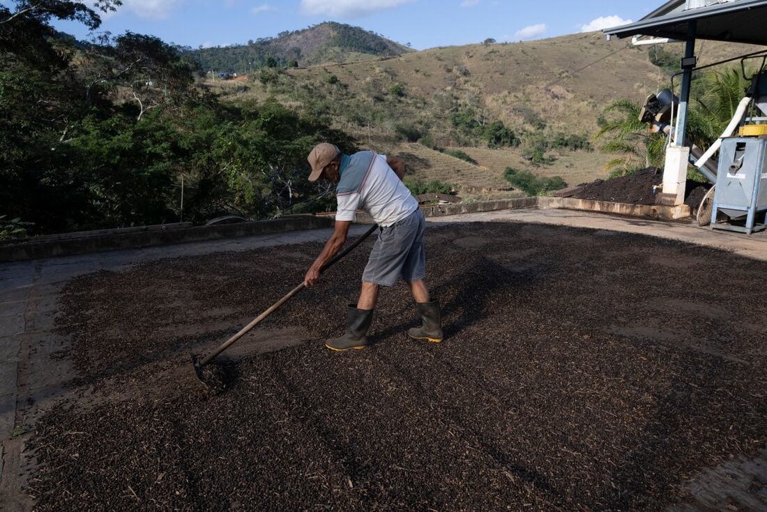 Café brasileiro quer minimizar prejuízo do tarifaço