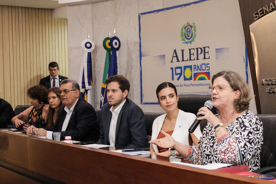 Apresentação do Plano Nacional da Educação, decênio 2024-2034.