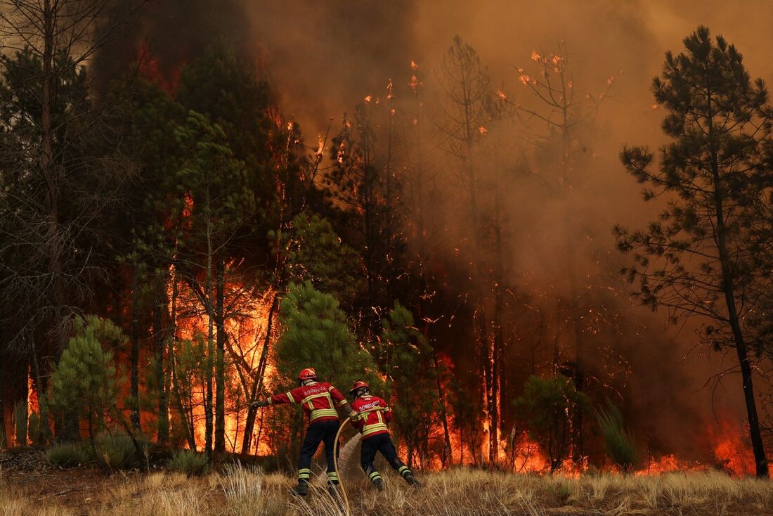 Incêndios florestais deterioram a qualidade do ar a quilômetros de distância, alerta ONU