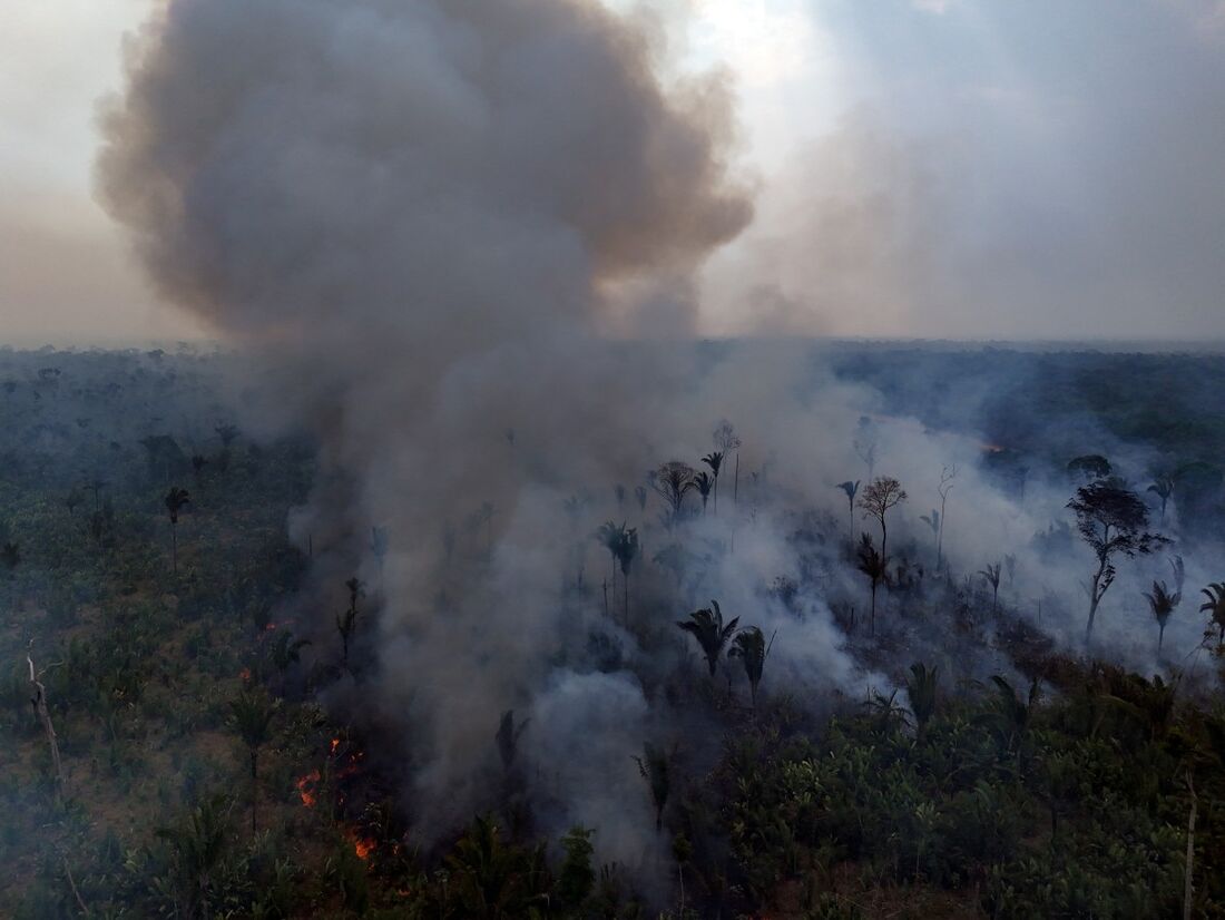 Amazônia brasileira registra queda de 65% na área de floresta destruída por incêndios em julho em relação ao mesmo período do ano passado, marcado por seca histórica