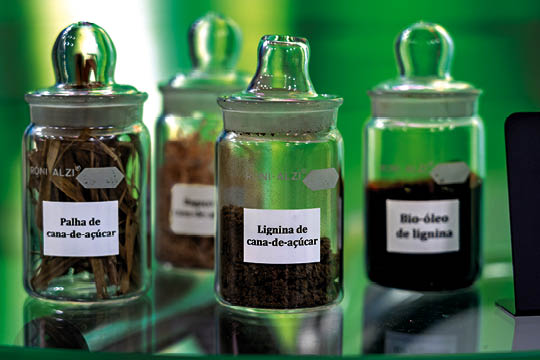 A cana-de-açúcar é um exemplo da versatilidade para geração elétrica e produção de calor e biocombustíveis