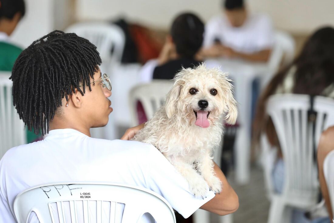 CãoPaz leva atendimento veterinário gratuito para a população sem necessidade de agendamento