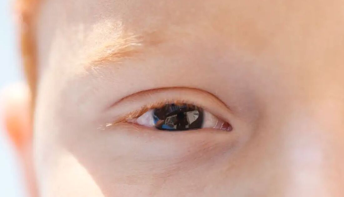 Documento conta com seis seções que abordam desde o desenvolvimento visual do bebê e da criança até orientações sobre exames oftalmológicos