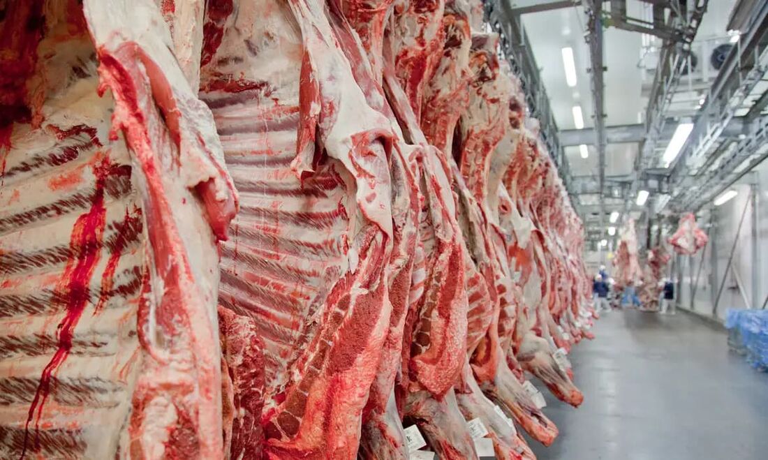 Exportação de carne bovina bate recorde em mês anterior ao tarifaço.
