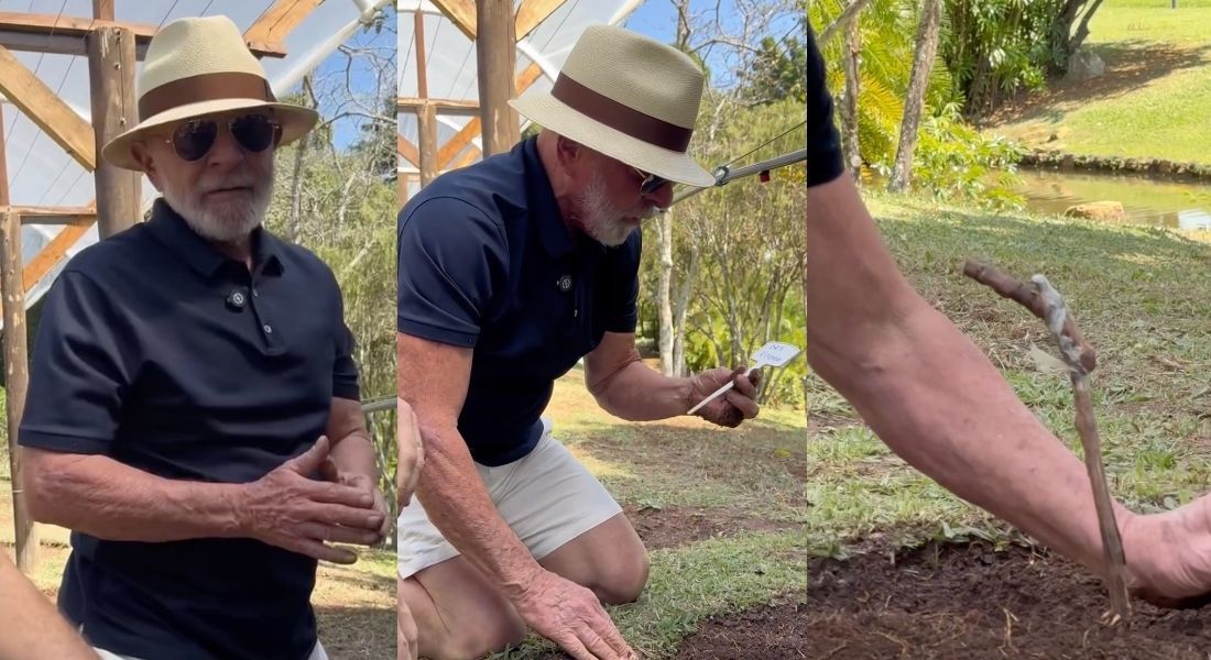 Presidente Lula postou vídeo plantando uva e mandou recado para o presidente americano, Donald Trump