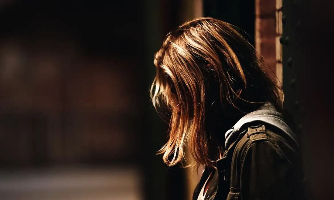 Dino vota a favor de benefício para mulheres vítimas de violência.