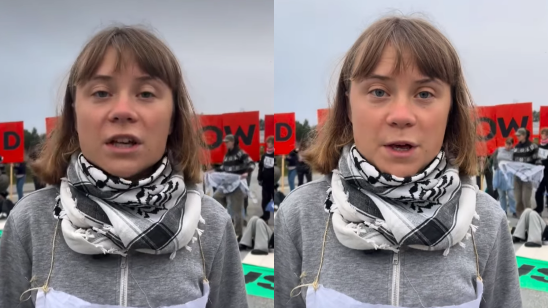 Anteriormente Greta Thunberg, e mais 200 ativistas, bloquearam a principal refinaria da Noruega