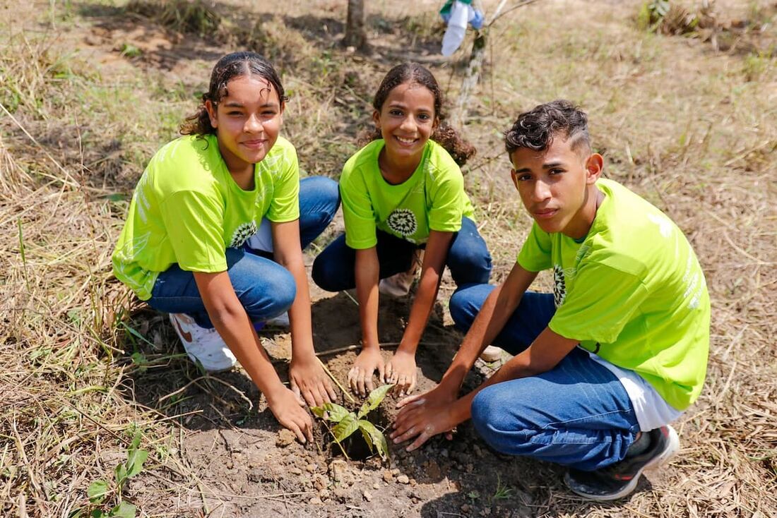 Iniciativa é uma ação social, cultural e educacional que abrange ações de reflorestamento