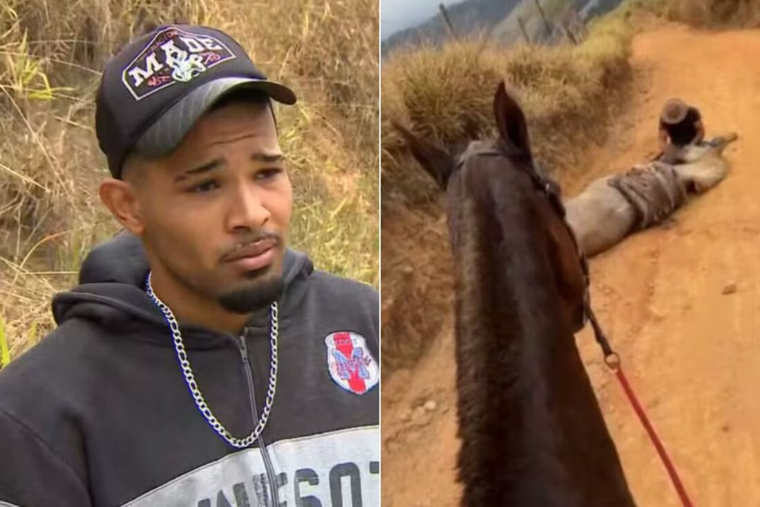 Andrey Guilherme Nogueira de Queiroz, de 21 anos, é investigado pela Polícia Civil por ter decepado as patas de um cavalo. Ele não está preso.